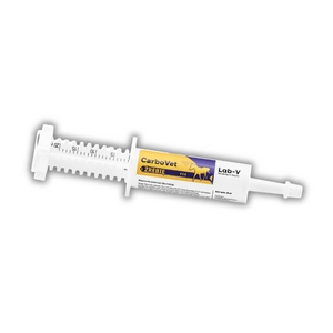 Lab-v CarboVet Źrebię - Preparat na wzdęcia dla źrebiąt 20 ml
