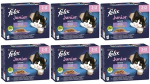 FELIX Fantastic Junior w galaretce; 72x85g