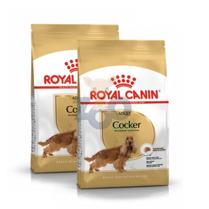 ROYAL CANIN Cocker Spaniel Adult 2x12kg karma sucha dla psów dorosłych rasy cocker spaniel