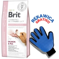 Brit GF veterinary diets dog Hypoallergenic 12 kg + RĘKAWICA DO CZESANIA GRATIS!!