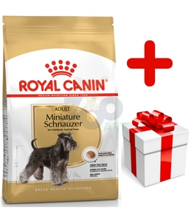 ROYAL CANIN Miniature Schnauzer Adult 7,5kg karma sucha dla psów dorosłych rasy schnauzer miniaturowy + niespodzianka dla psa GRATIS!
