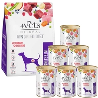 4Vets Natural Zestaw Gastro Intestinal;  karma suszona 1kg + karma mokra 6x400g