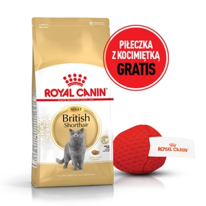 ROYAL CANIN British Shorthair 10kg karma sucha dla kotów dorosłych rasy brytyjski krótkowłosy + Piłka dla kota GRATIS!