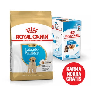 ROYAL CANIN Labrador Retriever Puppy 12kg karma sucha dla szczeniąt do 15 miesiąca, rasy labrador retriever+Karma mokra GRATIS!