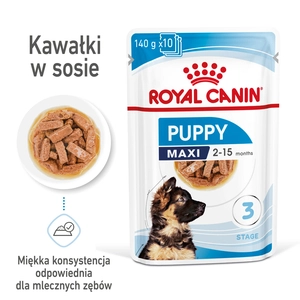 ROYAL CANIN Maxi Puppy 10x140g karma mokra w sosie dla szczeniąt do 15 miesiąca życia, ras dużych