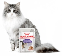 ROYAL CANIN  Sterilised 24x85g karma mokra w sosie dla kotów dorosłych, sterylizowanych