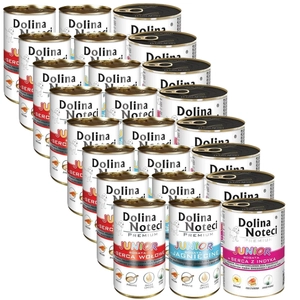Dolina Noteci PREMIUM Junior MIX Smaków 24 x 400g