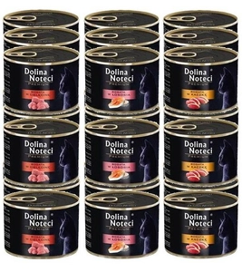 Dolina Noteci Premium dla kota Mix Smaków 48x185g