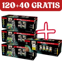SHEBA Kitten Wybór Smaków saszetki 120x85g + 40x85g GRATIS