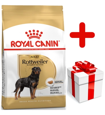 ROYAL CANIN Rottweiler Adult 12kg karma sucha dla psów dorosłych rasy rottweiler  + niespodzianka dla psa GRATIS!