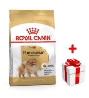 ROYAL CANIN Pomeranian Adult 500g karma sucha dla psów dorosłych rasy Pomeranian + niespodzianka dla psa GRATIS