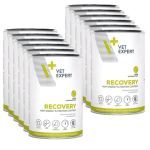 4T Veterinary Diet Recovery 12x400g