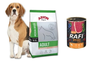 ARION Original Adult Medium Breed Salmon & Rice 12kg + Rafi 400g