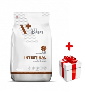 VETEXPERT Dog Intestinal 12kg + niespodzianka dla psa GRATIS!