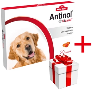 BIOVICO ANTINOL SIZAROL 30 tabletek NA STAWY + niespodzianka dla psa GRATIS!