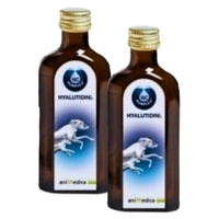 Hyalutidin płyn na stawy 2 x 125ml