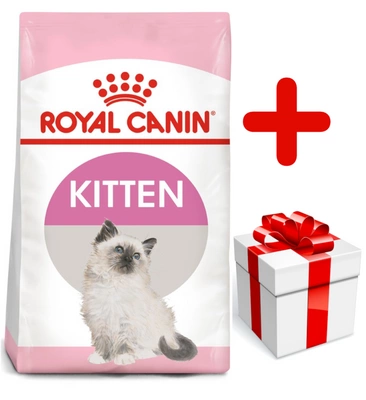 ROYAL CANIN  Kitten 10kg karma sucha dla kociąt od 4 do 12 miesiąca życia  + niespodzianka dla kota GRATIS!