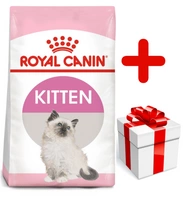 ROYAL CANIN  Kitten 10kg karma sucha dla kociąt od 4 do 12 miesiąca życia  + niespodzianka dla kota GRATIS!