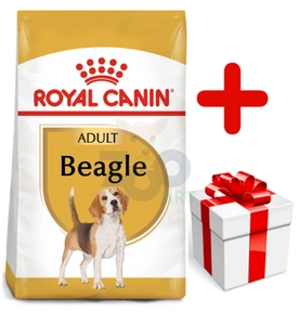 ROYAL CANIN Beagle Adult 12kg karma sucha dla psów dorosłych rasy beagle + niespodzianka dla psa GRATIS!