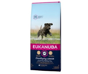 EUKANUBA Junior Large 15kg / Opakowanie uszkodzone (2564) !!!