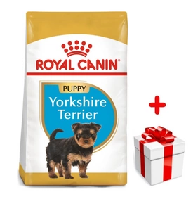 ROYAL CANIN Yorkshire Terrier Puppy 1,5kg karma sucha dla szczeniąt do 10 miesiąca, rasy yorkshire terrier + niespodzianka dla psa GRATIS!