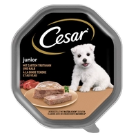CESAR Junior tacka 150 g – mokra karma pełnoporcjowa dla szczeniąt, z indykiem i cielęciną, w pasztecie