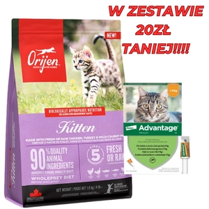 ORIJEN Kitten 1,8kg + Advantage - dla kotów (0,4mlx4) *roztwór* blister