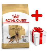 ROYAL CANIN German Shepherd Adult 11kg karma sucha dla psów dorosłych rasy owczarek niemiecki + niespodzianka dla psa GRATIS!