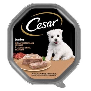 CESAR Junior tacka 150 g – mokra karma pełnoporcjowa dla szczeniąt, z indykiem i cielęciną, w pasztecie