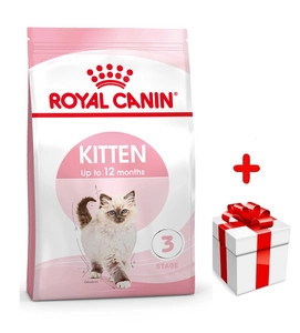 ROYAL CANIN  Kitten 4kg karma sucha dla kociąt od 4 do 12 miesiąca życia + niespodzianka dla kota GRATIS!