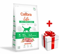 Calibra Dog Life Adult Medium Lamb 12 kg + Niespodzianka dla psa GRATIS