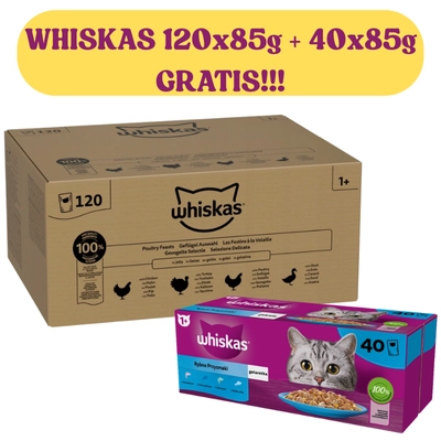 Whiskas Drobiowa Uczta 120x85g w Galaretce + WHISKAS 40x85g Rybne Przysmaki