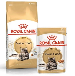 ROYAL CANIN Maine Coon Adult 31 2kg + 12x Maine Coon Adult saszetka 85g (Sos)