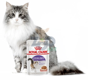 ROYAL CANIN  Sterilised 24x85g karma mokra w sosie dla kotów dorosłych, sterylizowanych