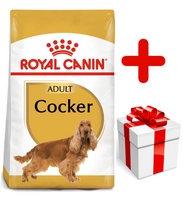 ROYAL CANIN Cocker Spaniel Adult 12kg karma sucha dla psów dorosłych rasy cocker spaniel + niespodzianka dla psa GRATIS!