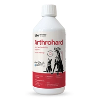 Lab-v Arthrohard 500ml Preparat na wsparcie stawów dla psa i kota