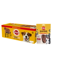 PEDIGREE Adult saszetka 40x100 g - Mix Smaków w Galaretce - mokra karma pełnoporcjowa w galaretce dla dorosłych psów + PEDIGREE® Ranchos™ Superfoods z wołowiną, jagodami i pełnym ziarnem 70g GRATIS