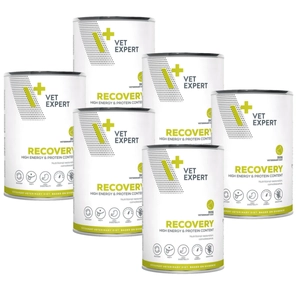 VETEXPERT Dog Diet Recovery 6x400g