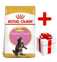 ROYAL CANIN Maine Coon Kitten 10kg +  niespodzianka dla kota GRATIS!