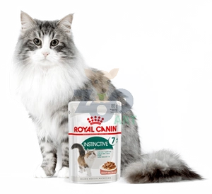 ROYAL CANIN  Instinctive +7 24x85g karma mokra w sosie dla kotów starszych, wybrednych 