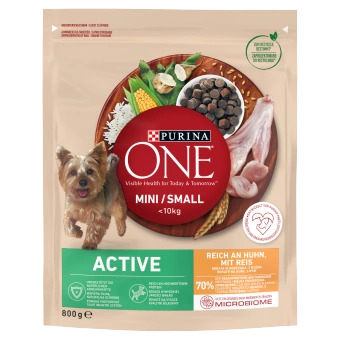 PURINA ONE Mini Active Kurczak, ryż - sucha karma dla psa - 800g