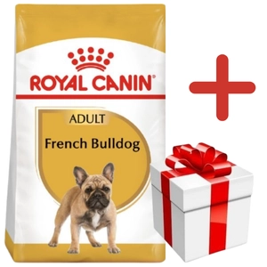 ROYAL CANIN French Bulldog Adult 3kg karma sucha dla psów dorosłych rasy bulldog francuski +  NIESPODZIANKA DLA PSA GRATIS!!!
