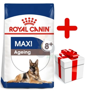 ROYAL CANIN Maxi Ageing 8+ 15kg karma sucha dla psów dojrzałych, po 8 roku życia, ras dużych  + niespodzianka dla psa GRATIS!