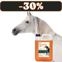 Lab-v Flaxseed Oil – 100% olej lniany tłoczony na zimno dla koni 5000 ml 