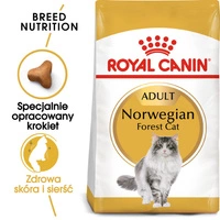 ROYAL CANIN Norvegian Forest Cat Adult 2kg + niespodzianka dla kota GRATIS!