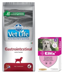 FARMINA Vet Life Dog Gastrointestinal 12kg + Kiltix Obroża dla psów dużych dł  70cm