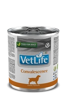 Farmina Vet Life Convalescence Dog 6x300g