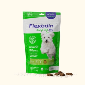 VETOQUINOL Flexadin Young Dog Mini 60kąsków