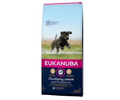 EUKANUBA Junior Large 15kgOpakowanie uszkodzone (5710) !!!