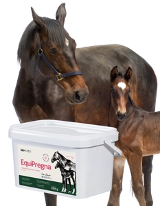 Lab-v EquiPregna Mieszanka paszowa uzupełniająca dla klaczy ciężarnych i karmiących, wspierająca przebieg ciąży, rozwój płodu oraz produkcję mleka 2000g